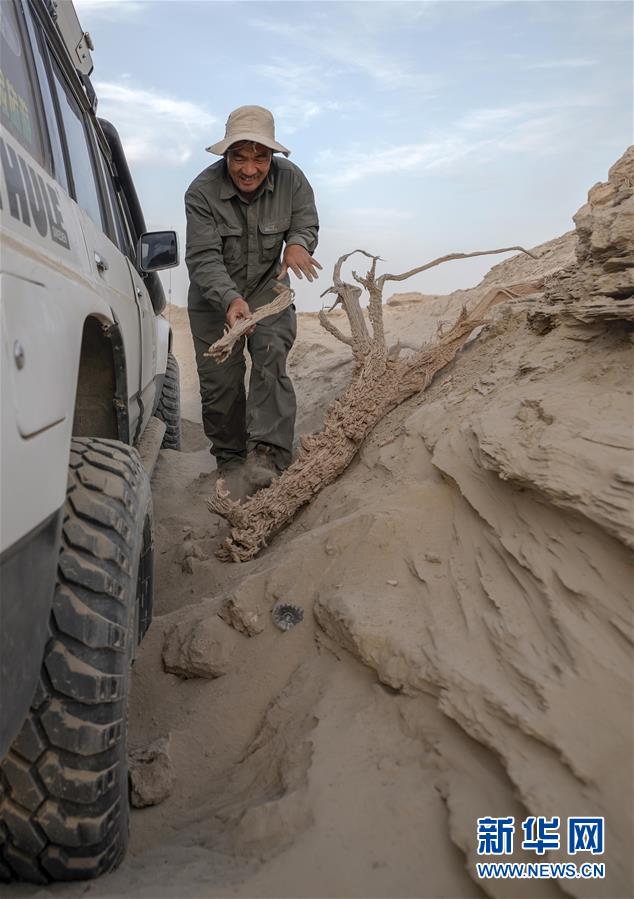 （图文互动）（2）大漠戈壁里的飞驰人生——新疆巴州文物局司机皮明忠的故事 