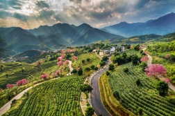 首届全球农遗·安溪铁观音茶文化系统保护与发展论坛28日启幕在即