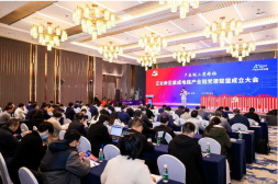 產業鏈上黨旗揚，江北新區集成電路產業鏈黨建聯盟成立