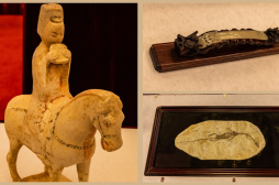 澳大利亞向中國返還流失文物藝術品與古生物化石