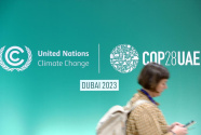 迪拜气候大会丨发达国家应充分兑现气候承诺
